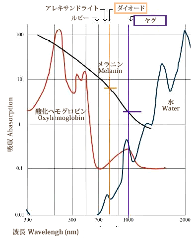 波長による、各種の吸収曲線のグラフ